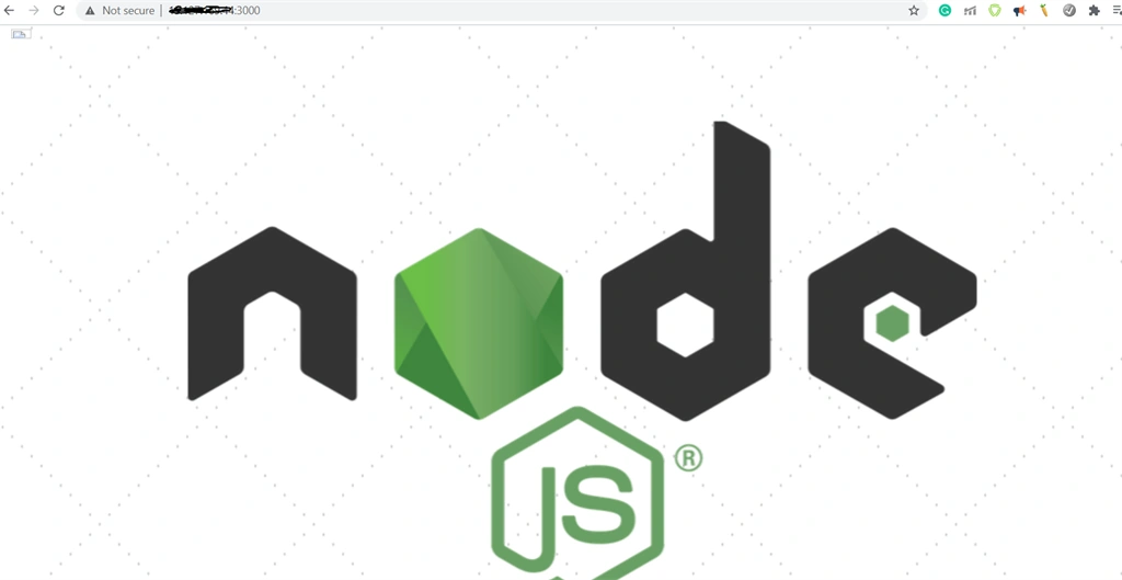 Create Amazon Linux AMI EC2 Instance And Deploy NodeJS Application