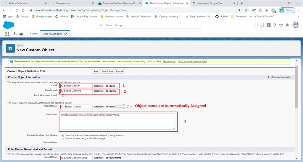 Creating Custom Objects In Salesforce Lightning Platform