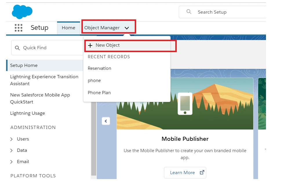 Creating Custom Objects In Salesforce Lightning Platform