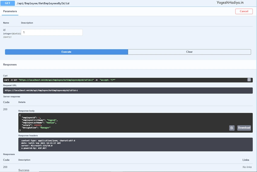Create Asp.Net Core Web API with Entity Framework Code First Approach