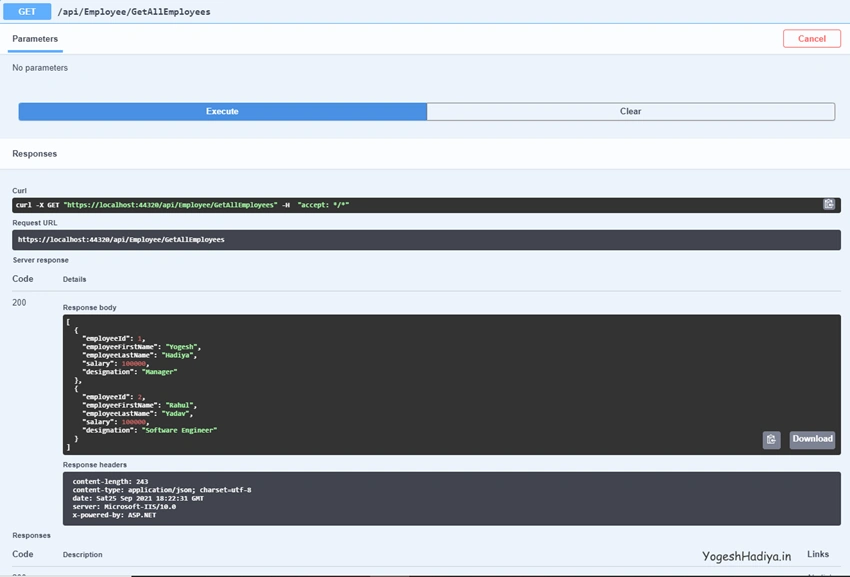Create Asp.Net Core Web API with Entity Framework Code First Approach