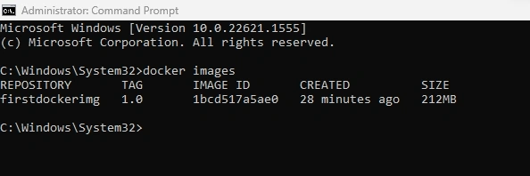Docker image of web application