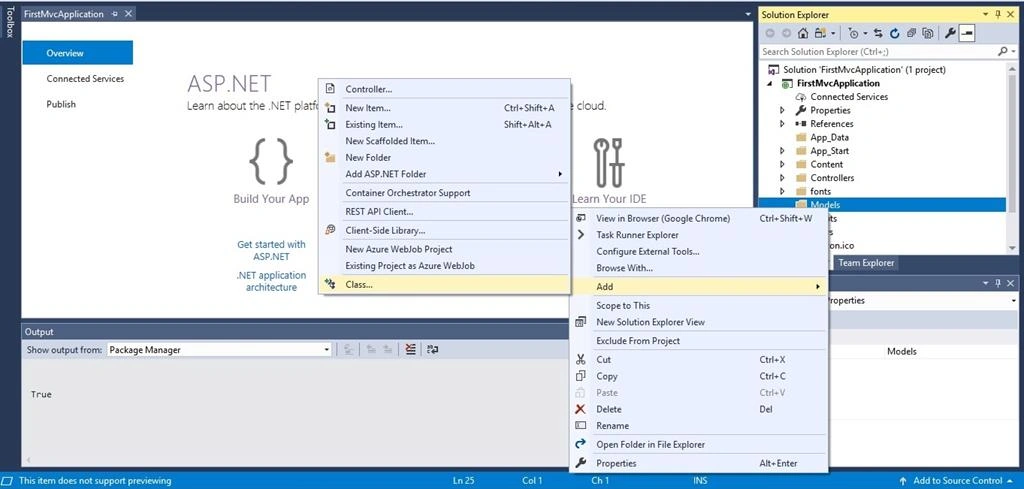 Create First ASP.NET MVC Application - Step By Step For Beginner