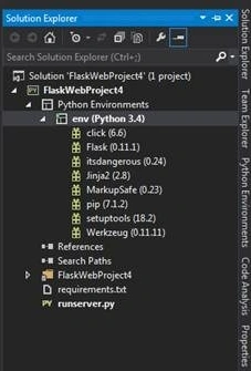Python Environment