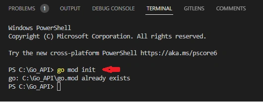 Create REST API With Gin Framework And Golang