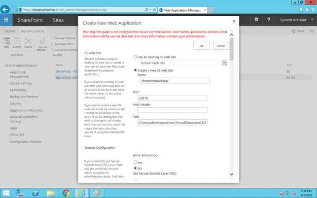 IIS website