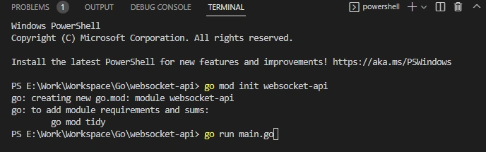 Create Websocket APIs in Golang
