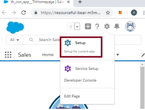 Creating A Custom Field In SalesForce