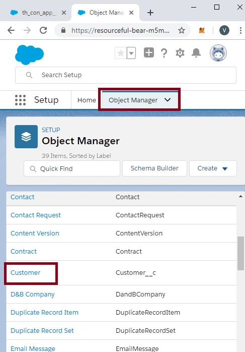 Creating A Custom Field In SalesForce