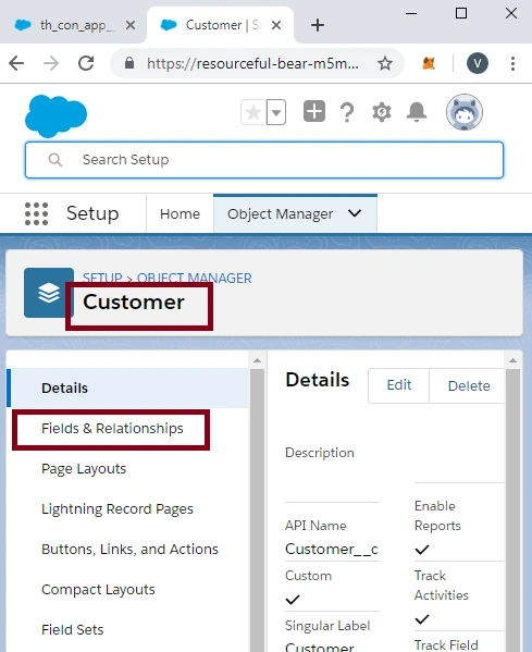 Creating A Custom Field In SalesForce