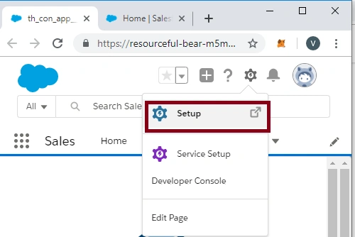 Creating A Custom Object in SalesForce