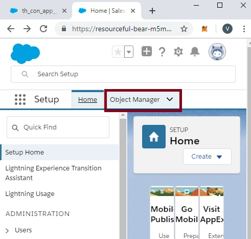 Creating A Custom Object in SalesForce