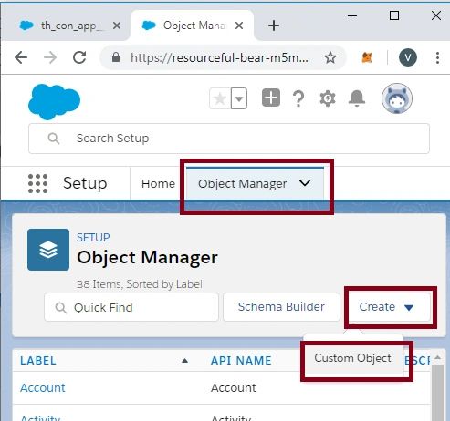 Creating A Custom Object in SalesForce