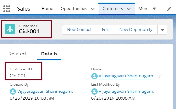 Creating A Custom Object in SalesForce