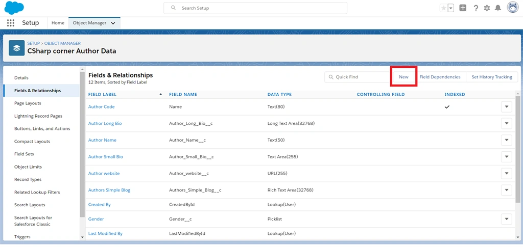 Creating A Geo-Location Field Data Type In Salesforce Object