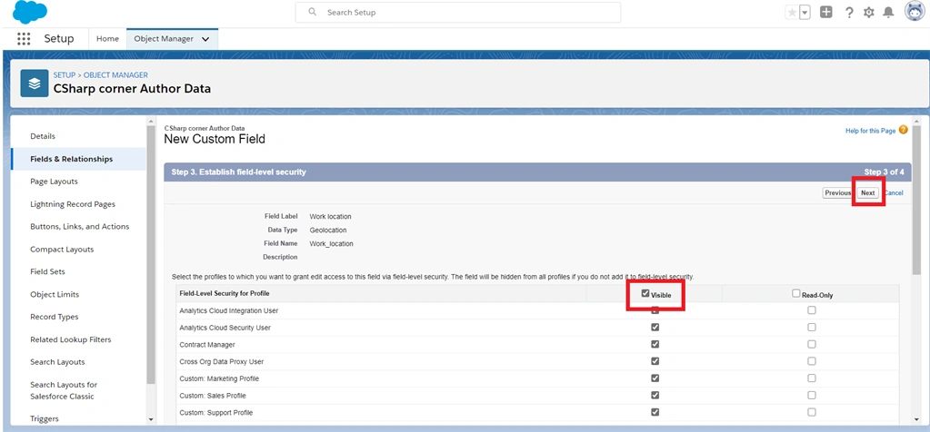 Creating A Geo-Location Field Data Type In Salesforce Object
