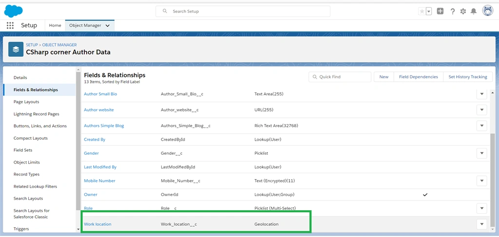 Creating A Geo-Location Field Data Type In Salesforce Object