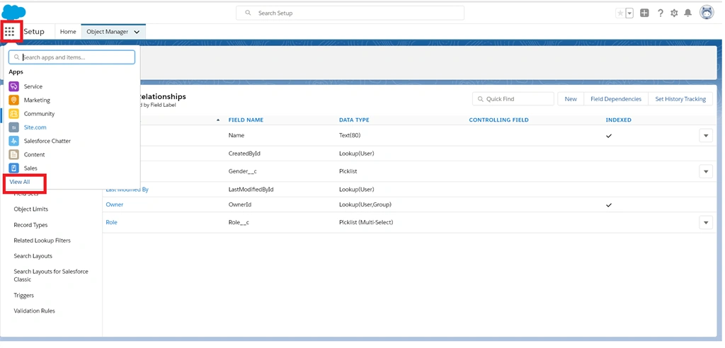 Creating A Picklist And Multiselect Picklist In Salesforce Object