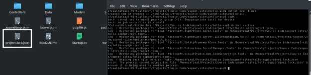 Project.lock.json file created after restoring the project