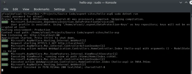 ASP.NET web application’s log in terminal window