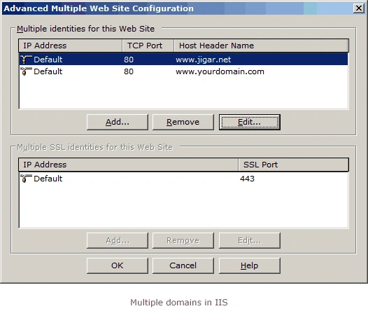 Multiple domains in IIS