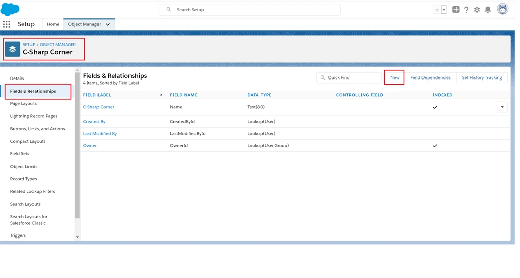 Creating Custom Filelds In Salesoforce ⚡Lightning Platform
