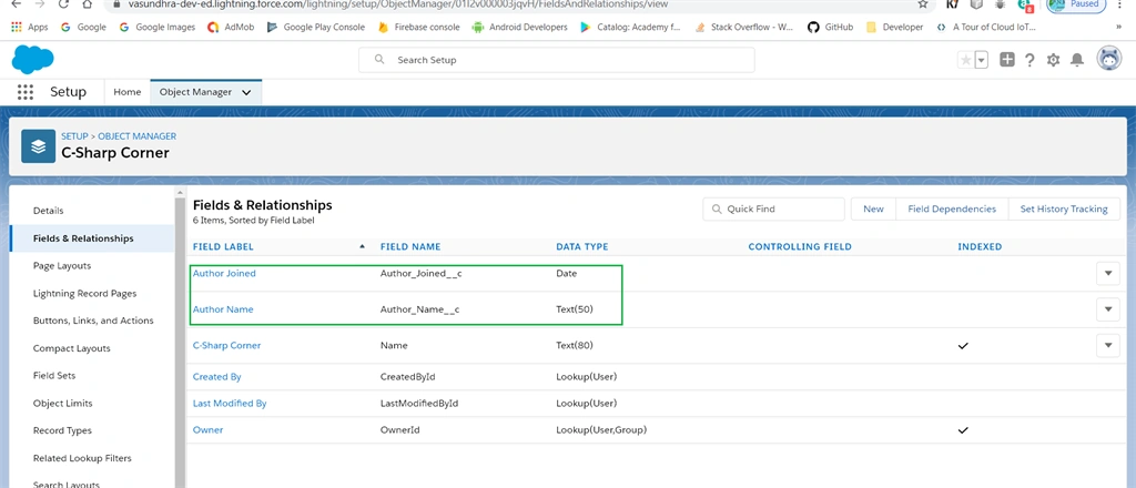 Creating Custom Filelds In Salesoforce ⚡Lightning Platform