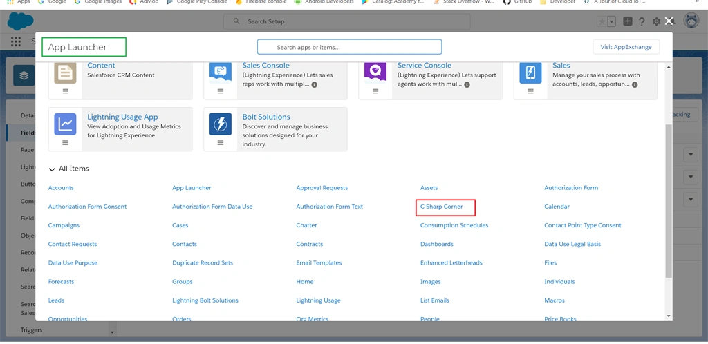 Creating Custom Filelds In Salesoforce ⚡Lightning Platform