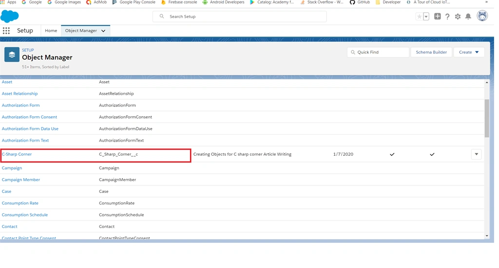 Creating Custom Filelds In Salesoforce ⚡Lightning Platform