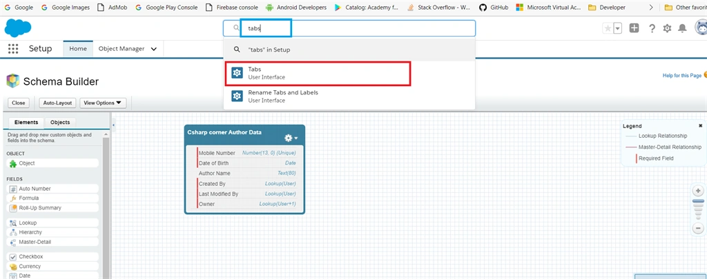 Creating Custom Objects And Custom Fields Using Schema Builder