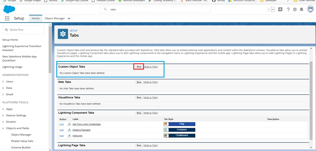 Creating Custom Objects And Custom Fields Using Schema Builder