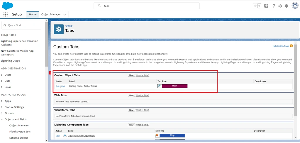 Creating Custom Objects And Custom Fields Using Schema Builder