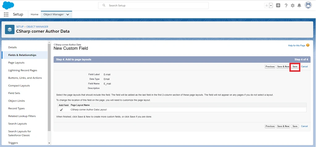 Creating Email Field Data Type In Salesforce Object