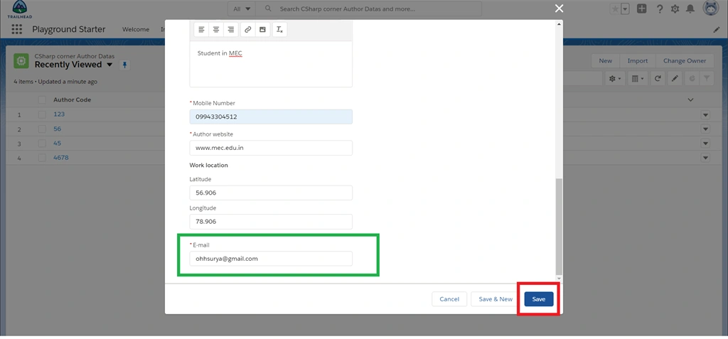Creating Email Field Data Type In Salesforce Object