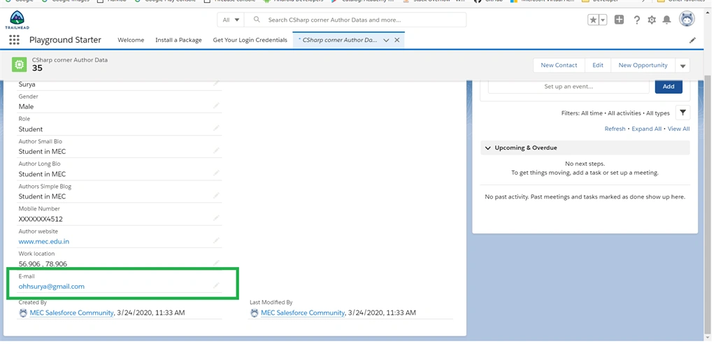 Creating Email Field Data Type In Salesforce Object