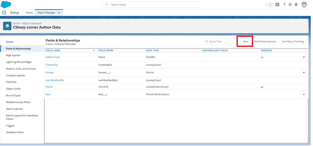 Creating Text And Text Area Field Data Types In Salesforce Object