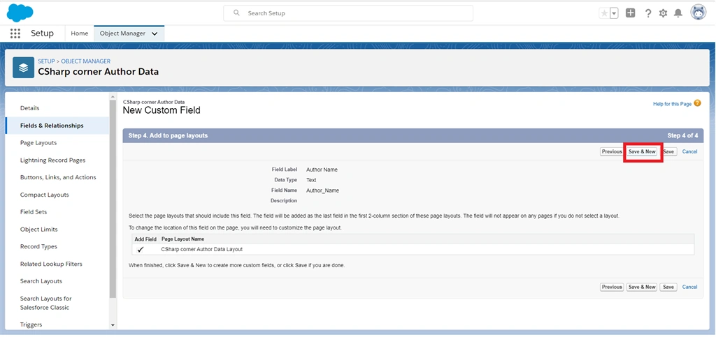 Creating Text And Text Area Field Data Types In Salesforce Object