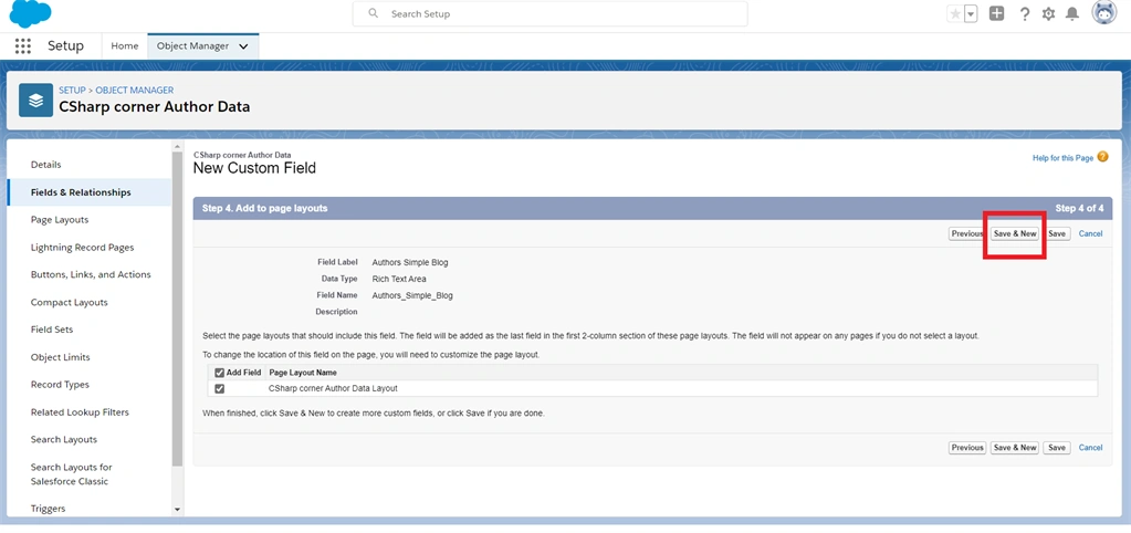 Creating Text And Text Area Field Data Types In Salesforce Object