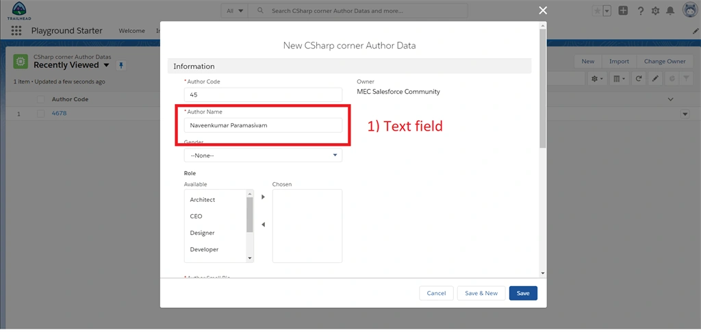 Creating Text And Text Area Field Data Types In Salesforce Object