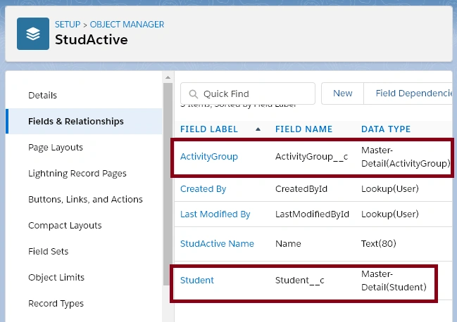 Creating the Many to Many Relationship in SalesForce