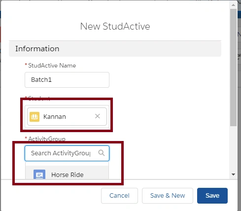 Creating the Many to Many Relationship in SalesForce
