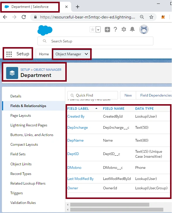 Creating The Master Detail Relationship In SalesForce