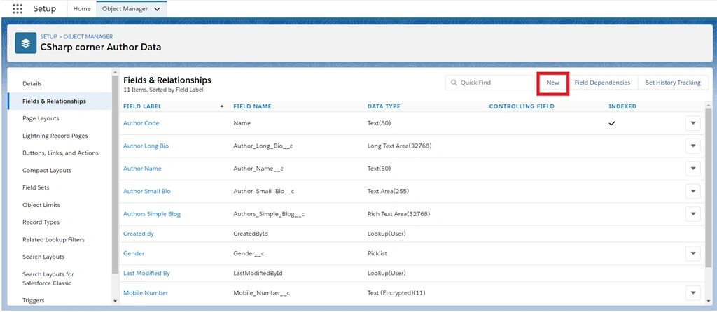 Creating URL Field Data Types In Salesforce Object