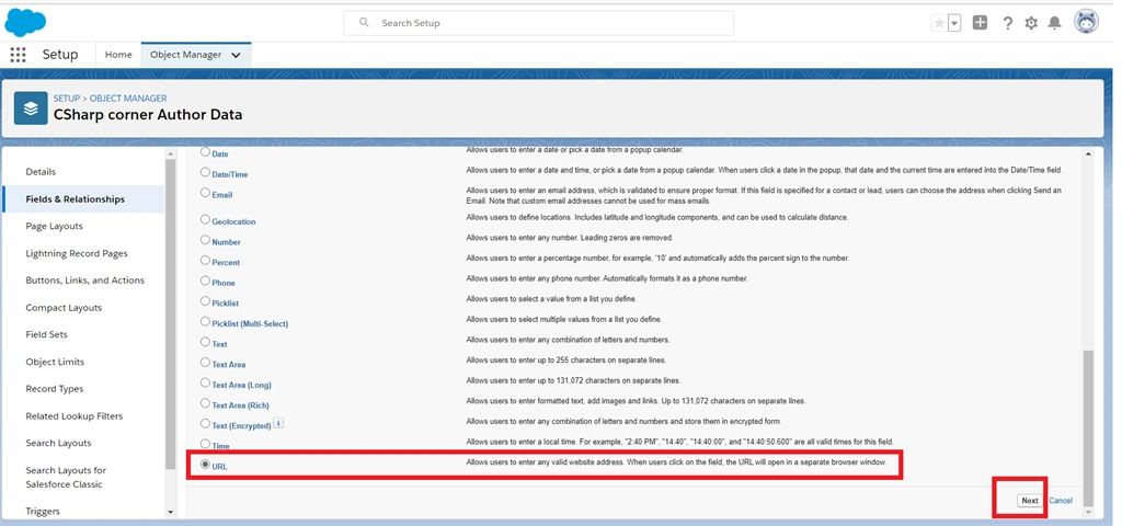 Creating URL Field Data Types In Salesforce Object