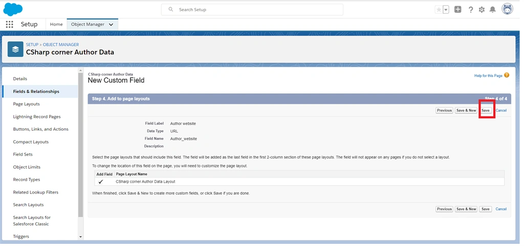 Creating URL Field Data Types In Salesforce Object