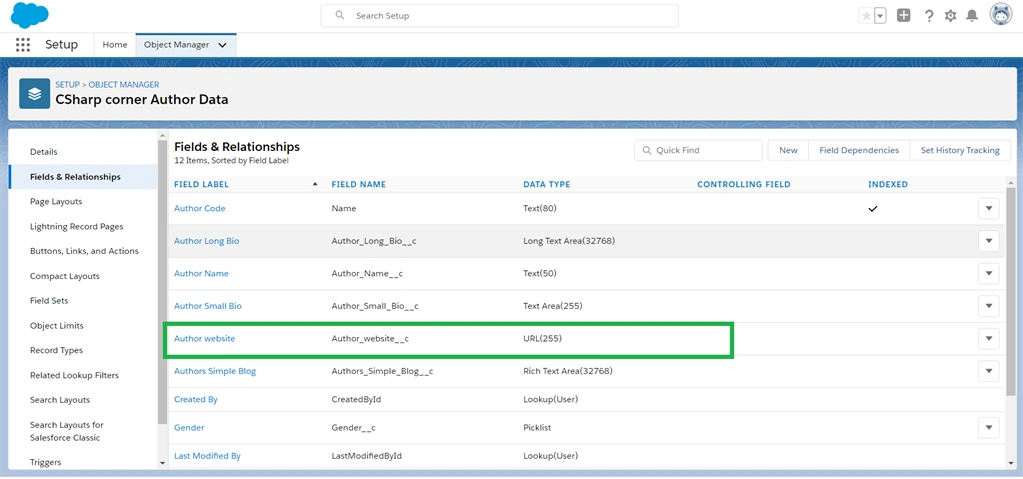 Creating URL Field Data Types In Salesforce Object