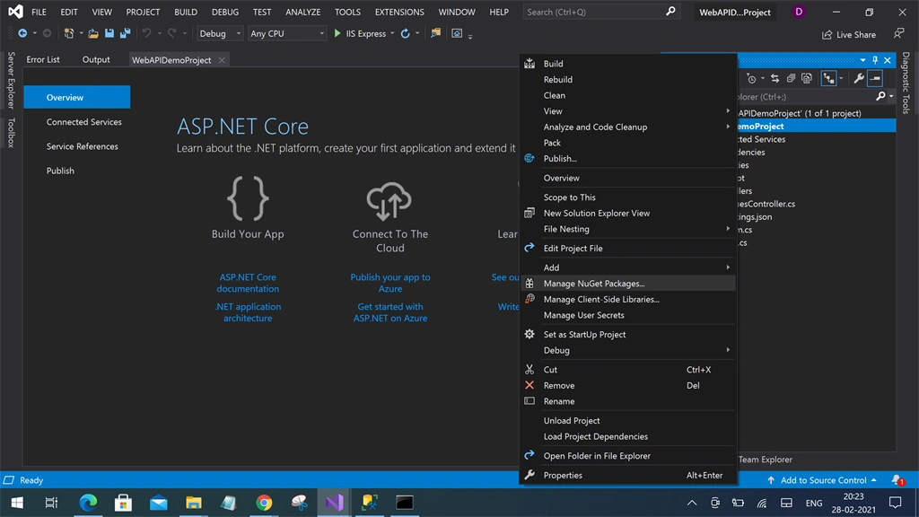 Creating WEB API project Visual Studio 2019 - ASP.NET Core And Swagger