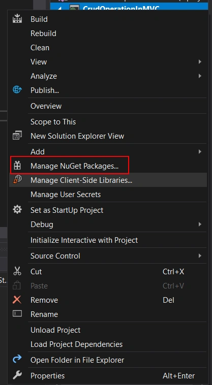 NuGet Package