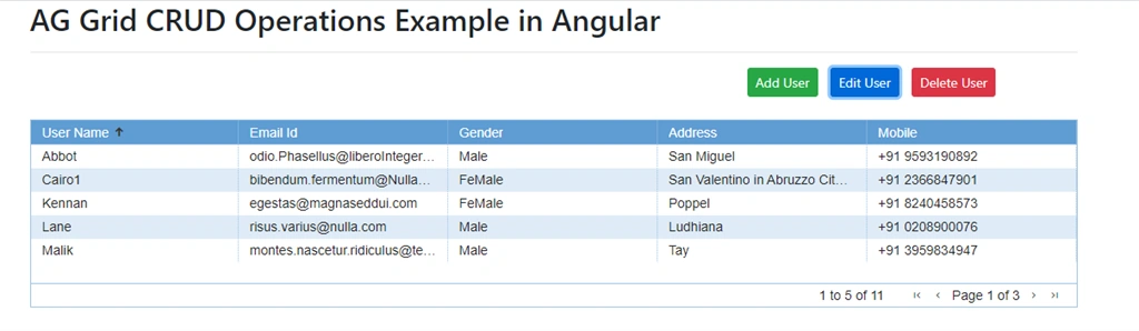 CRUD Operations In Angular Using AG Grid With Web API And SQL