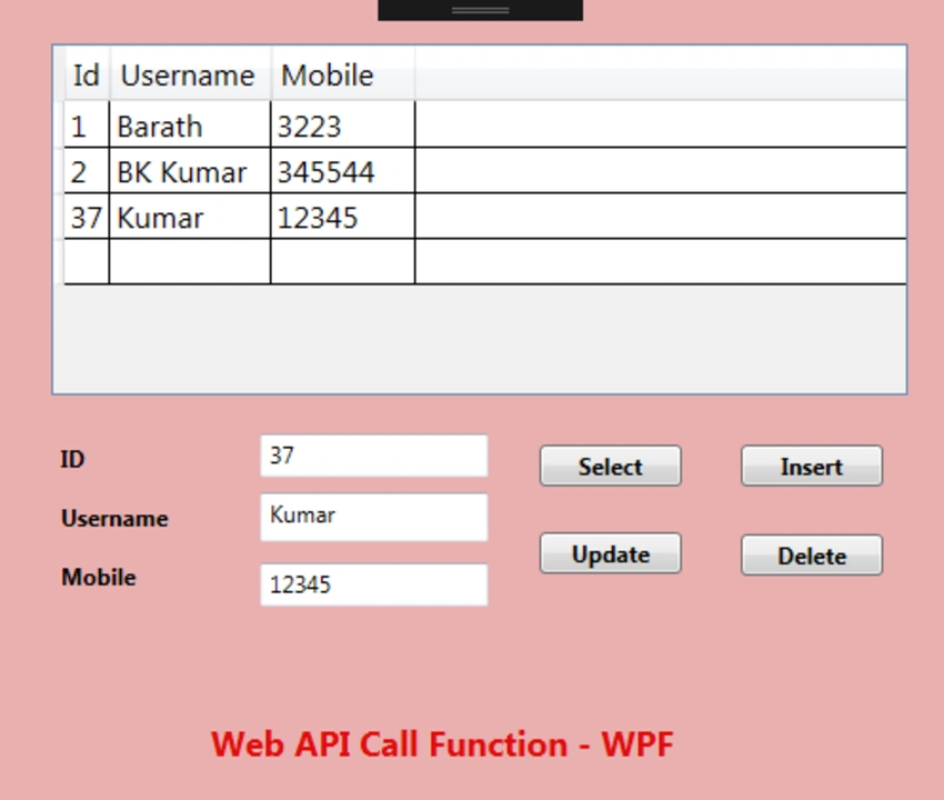 CRUD Web API Service Call Function In WPF Application